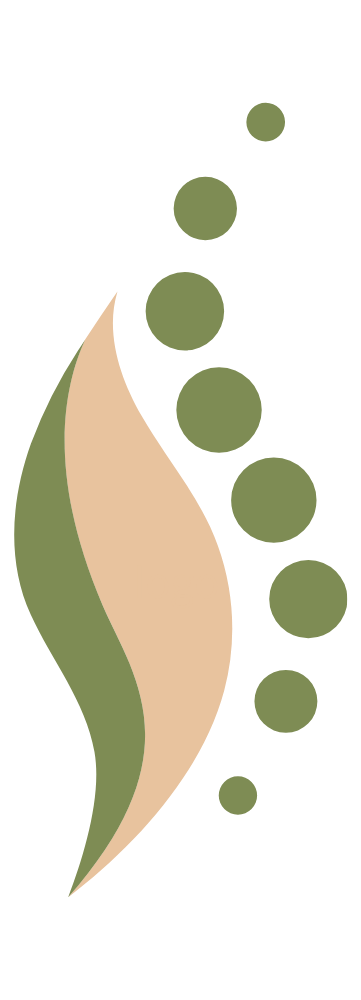 Logo Full Spine - Quiropraxia e massoterapia